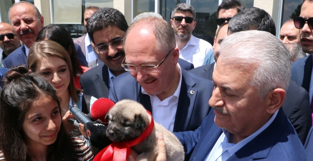 Binali Yıldırım: "Kiraz ağaçları gevrek olur düşmesin"