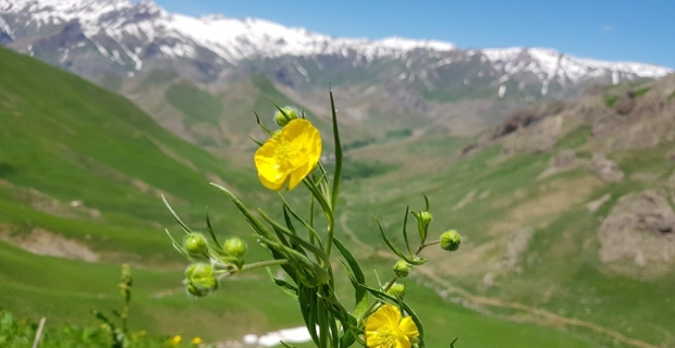 Keşfedilmemiş doğa harikaları göz kamaştırıyor