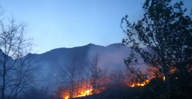 Kemaliye’de meyve ağaçları yanarak kül oldu