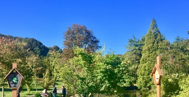 Atatürk Arboretumu’nda sonbahar manzaraları havadan görüntülendi