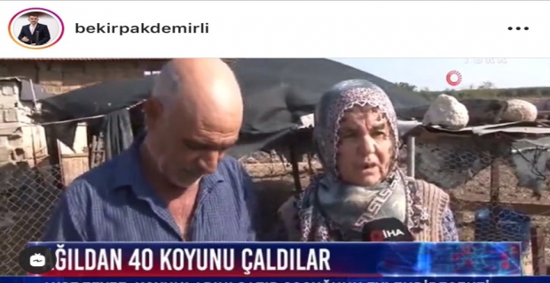 Bakan Pakdemirli’den koyunları çalınan Ayşe teyzeye destek