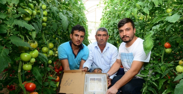 Canan Karatay’ın ’domates’ eleştirilerine üreticilerden tepki