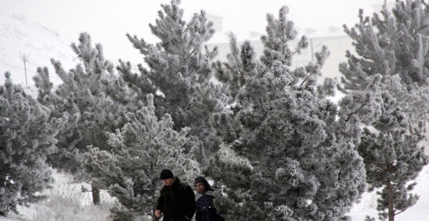 Doğu Anadolu’da soğuk hava: Göle - 14