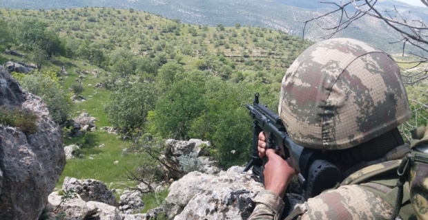 Gri listedeki terörist etkisiz hale getirildi