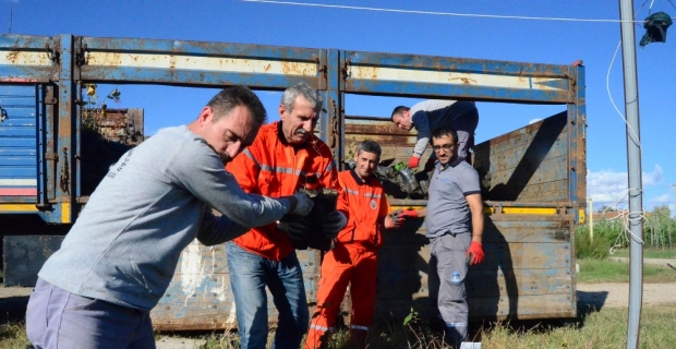 İşte Trakya’nın fidan fabrikası