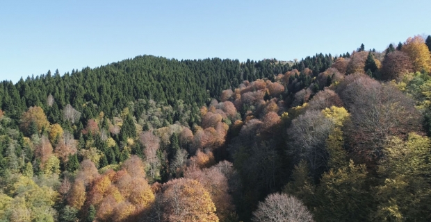 Karadeniz yaylalarında sonbahar