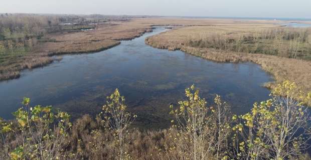 Karadeniz’in incisi: ’Gölyazı’