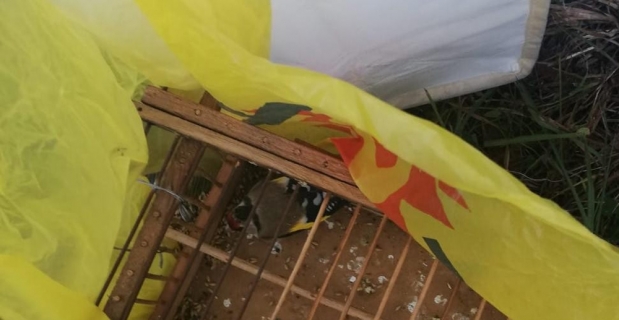Saka kuşu avcılarına jandarmadan suçüstü
