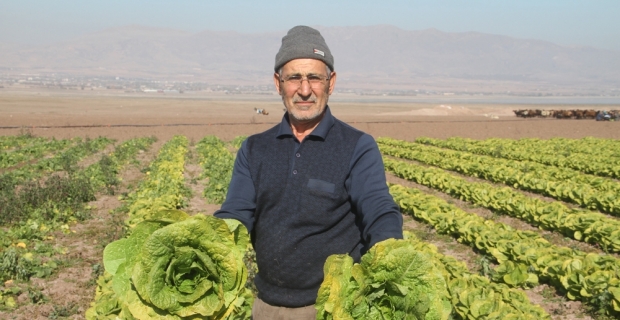 Su çekildi, nehir kenarında tarım başladı