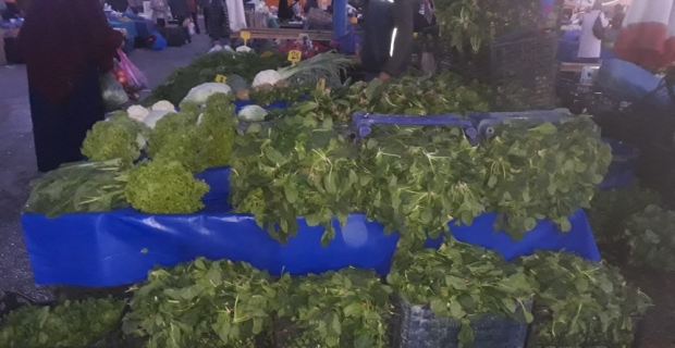 Tonlarca ıspanak çöpe gidiyor