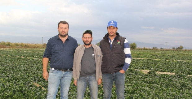 Üreticiler: "Gönül rahatlığıyla ıspanak tüketebilirsiniz"