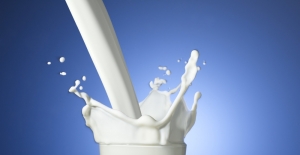 Süt ve süt ürünleri üretimi istatistikleri açıklandı