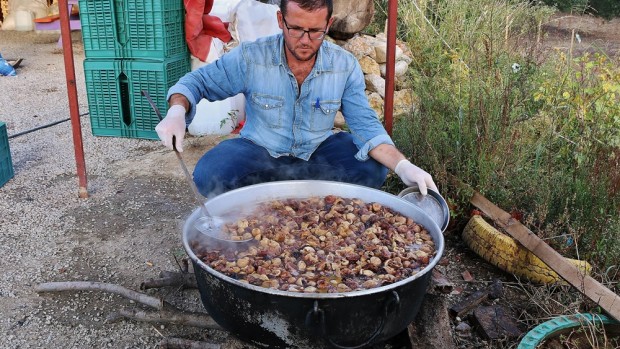 Organik incir pekmezi böyle yapılır