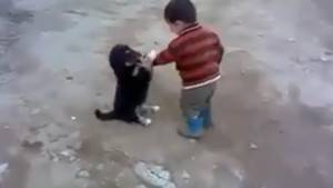 Minik çocukla yavru köpeğin kavgası